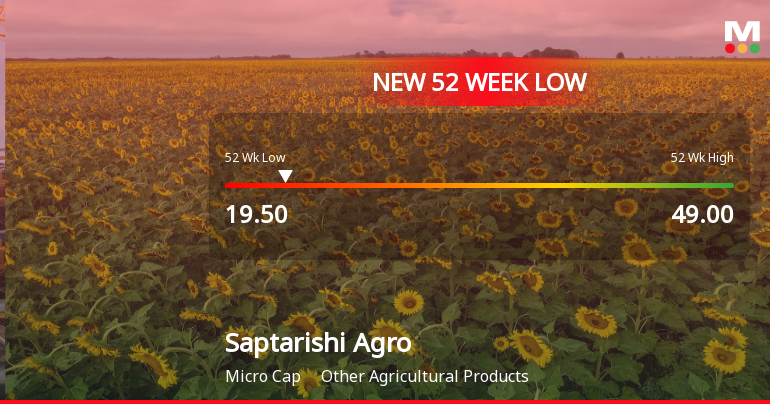 Saptarishi Agro Industries Ltd Falls to 52-Week Low of Rs 19.5 as Sell-Off Deepens