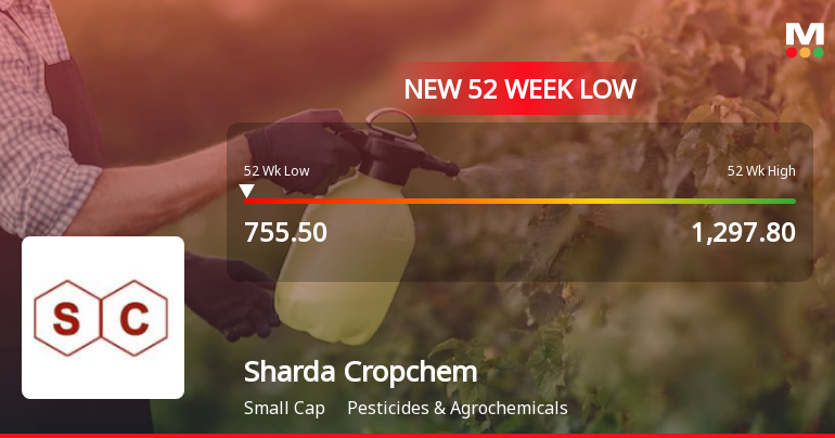 Markets Rally, But Sharda Cropchem Ltd Sinks to 52-Week Low in Stock-Specific Sell-Off