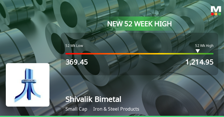 Broad-Based Technical Strength Lifts Shivalik Bimetal Controls Ltd to 52-Week High of Rs 1214.95