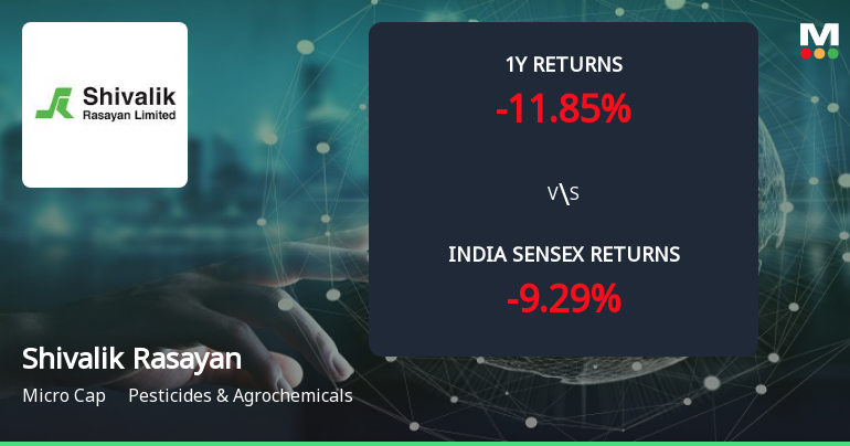 Golden Cross Forms in Shivalik Rasayan Ltd Amid Mixed Technical Signals