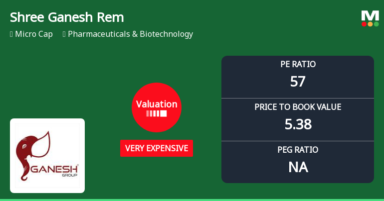 Shree Ganesh Remedies Ltd Valuation Shifts Amid Strong Price Rally
