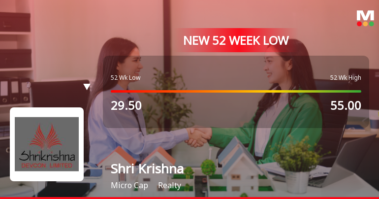 Markets Rally, But Shri Krishna Devcon Ltd Sinks to 52-Week Low in Stock-Specific Sell-Off