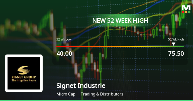 Broad-Based Technical Strength Lifts Signet Industries Ltd to 52-Week High of Rs 75.5