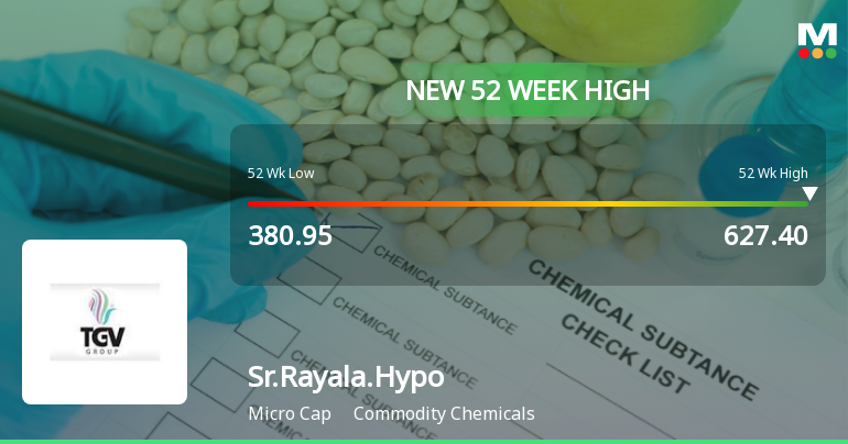 Broad-Based Technical Strength Lifts Sree Rayalaseema Hi-Strength Hypo Ltd to 52-Week High of Rs 627.4