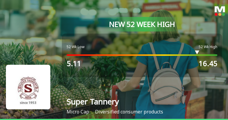 Broad-Based Technical Strength Lifts Super Tannery Ltd to 52-Week High of Rs 16.45
