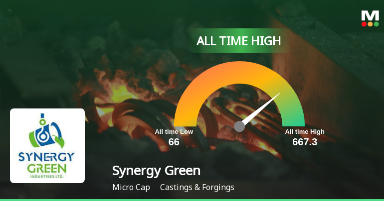 Strong Momentum Meets Stretched Valuations as Synergy Green Industries Ltd Reaches All-Time High