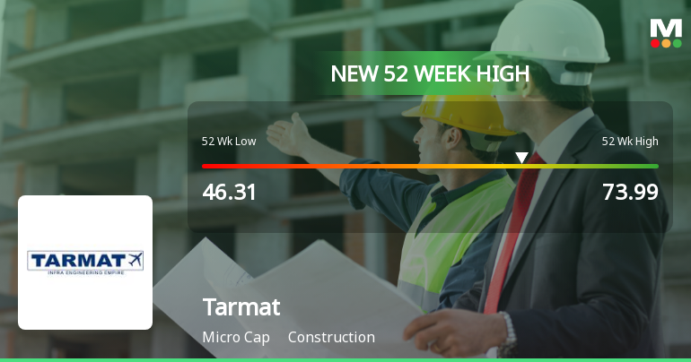 Broad-Based Technical Strength Lifts Tarmat Ltd to 52-Week High of Rs 73.99