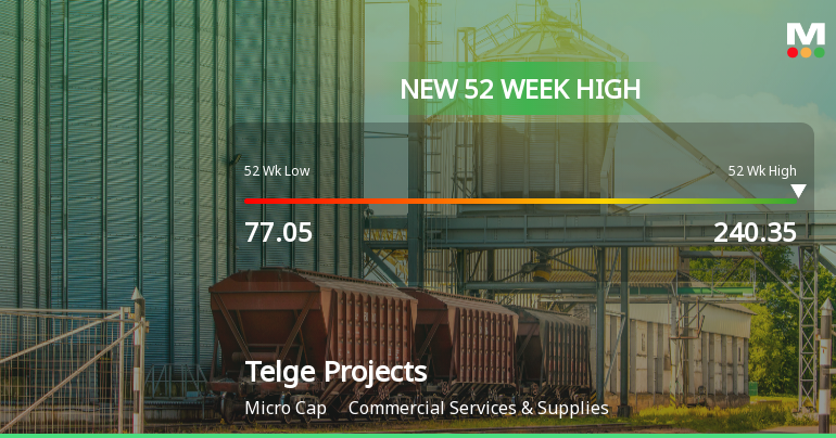 Broad-Based Technical Strength Lifts Telge Projects Ltd to 52-Week High of Rs 240.35