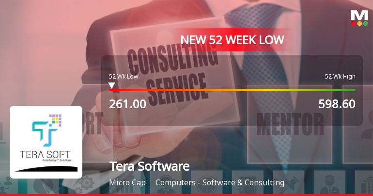 Tera Software Ltd Falls to 52-Week Low of Rs 269.65 as Sell-Off Deepens