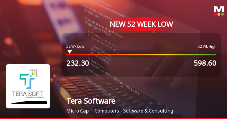 Tera Software Ltd Falls to 52-Week Low of Rs 232.3 as Sell-Off Deepens