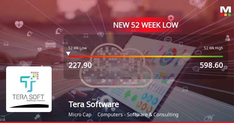 Tera Software Ltd Falls to 52-Week Low of Rs 227.9 as Sell-Off Deepens