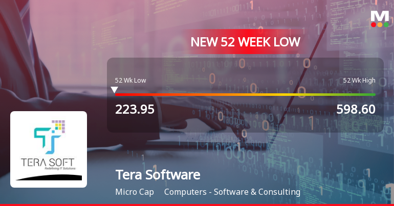Tera Software Ltd Falls to 52-Week Low Amidst Divergent Financial and Market Signals