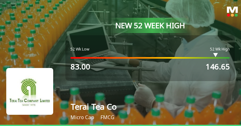 Broad-Based Technical Strength Lifts Terai Tea Co Ltd to 52-Week High of Rs 146.65