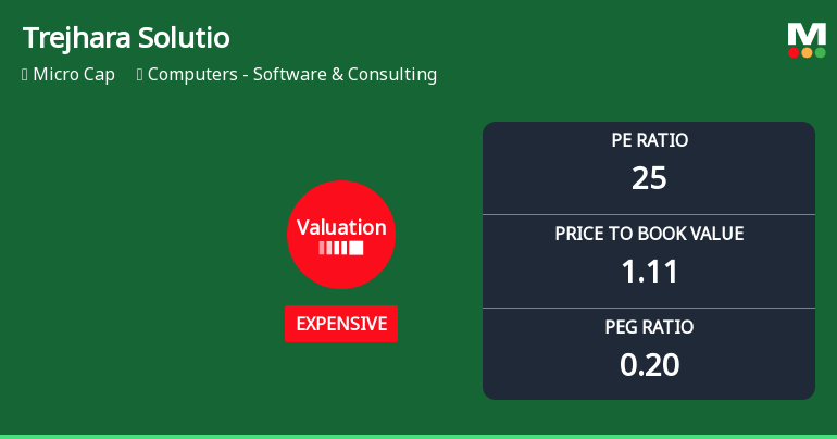 Trejhara Solutions Ltd Valuation Shifts Signal Price Attractiveness Concerns
