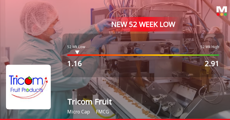 Markets Rally, But Tricom Fruit Products Ltd Sinks to 52-Week Low in Stock-Specific Sell-Off