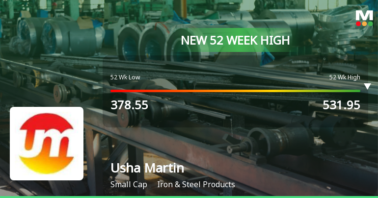Broad-Based Technical Strength Lifts Usha Martin Ltd to 52-Week High of Rs 531.95