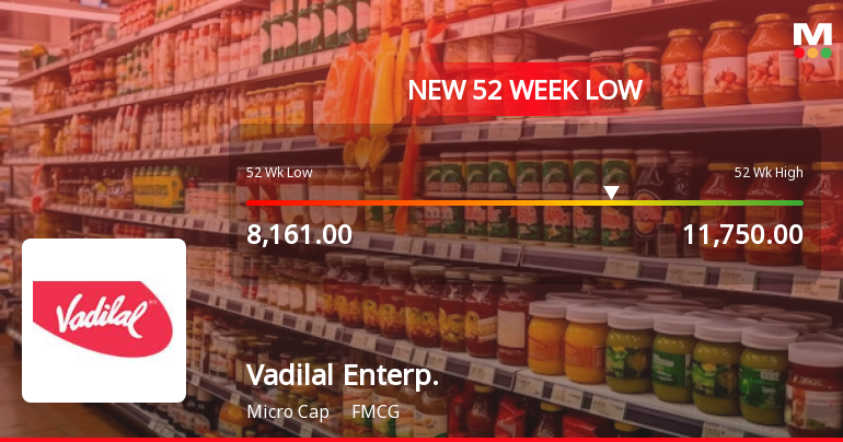 Markets Rally, But Vadilal Enterprises Ltd Sinks to 52-Week Low in Stock-Specific Sell-Off