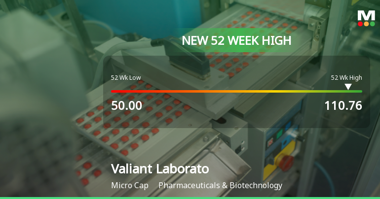 Broad-Based Technical Strength Lifts Valiant Laboratories Ltd to 52-Week High of Rs 110.76
