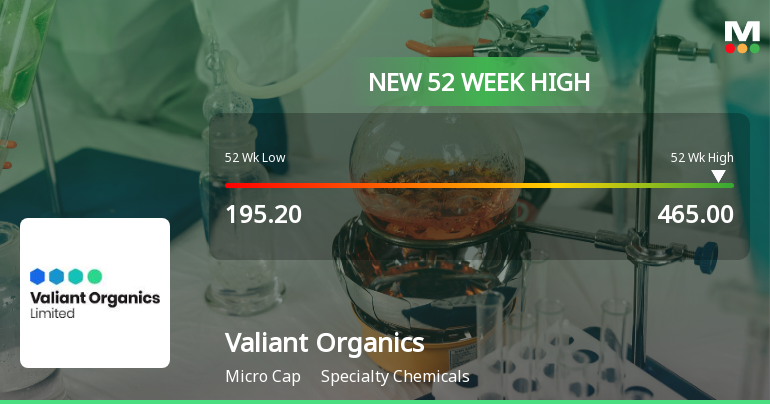 Broad-Based Technical Strength Lifts Valiant Organics Ltd to 52-Week High of Rs 465