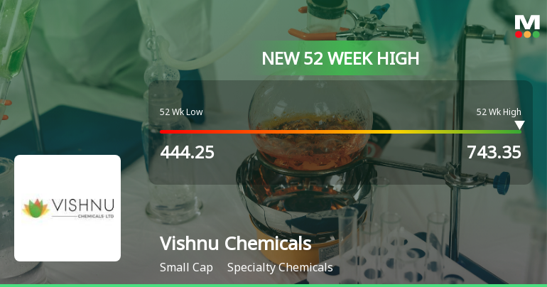 Broad-Based Technical Strength Lifts Vishnu Chemicals Ltd to 52-Week High of Rs 741