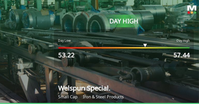 Welspun Specialty Solutions Ltd Surges 7.33% to Day's High of Rs 57.44 — Outperforms Sector by 8.05 Percentage Points