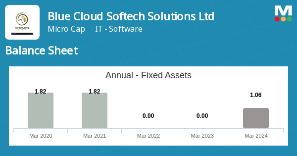 Blue Cloud Softech Solutions Ltd Balance Sheet: Consolidated Financial ...